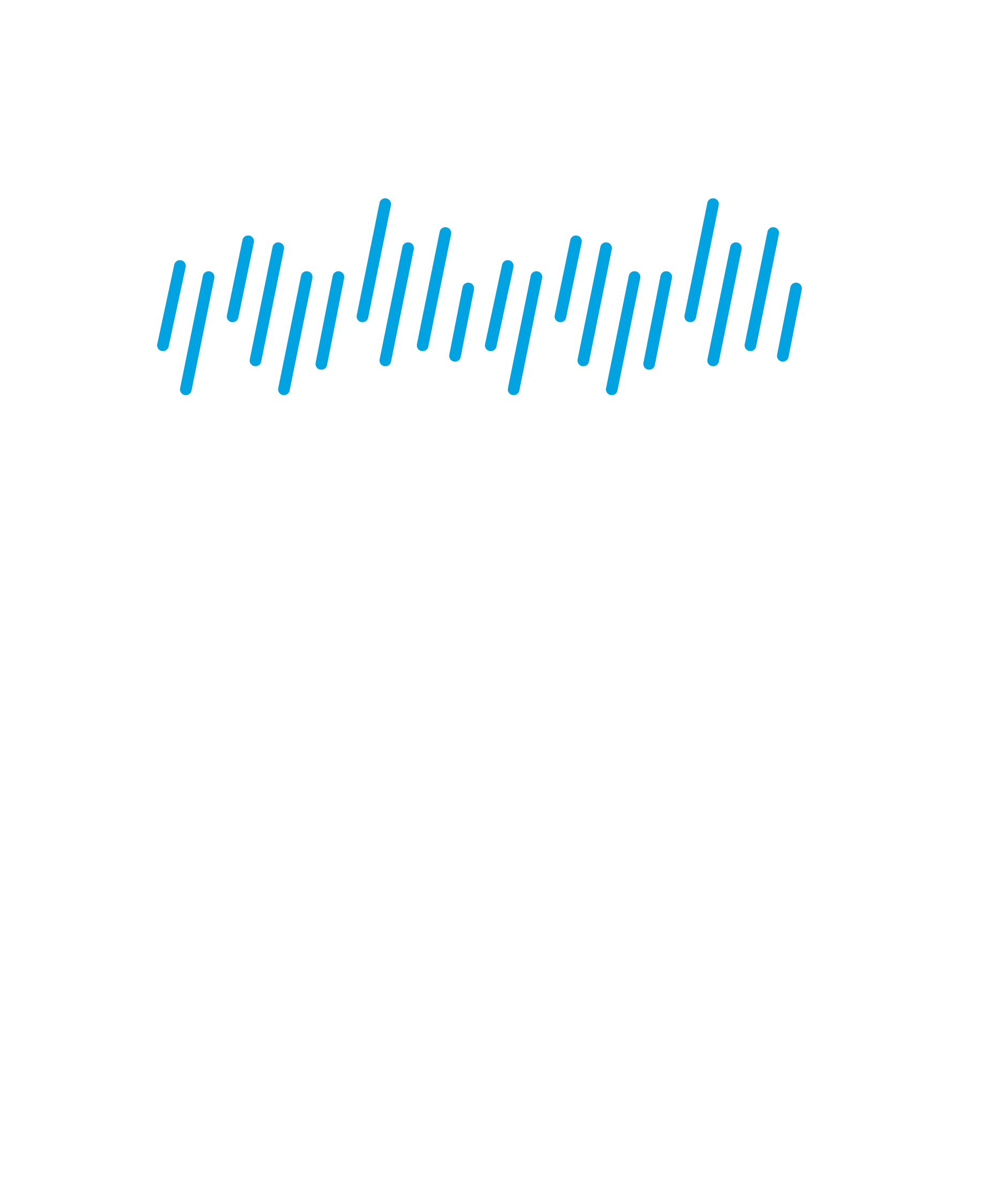 openGear 20th